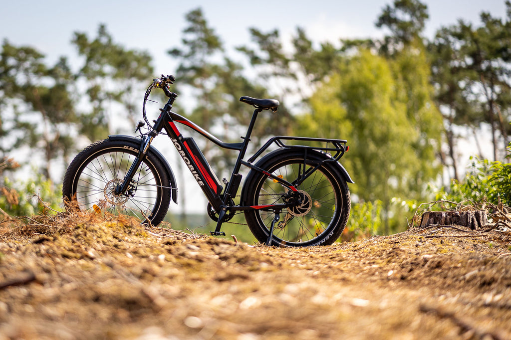 Öko-Reisen mit dem E-Bike genießen