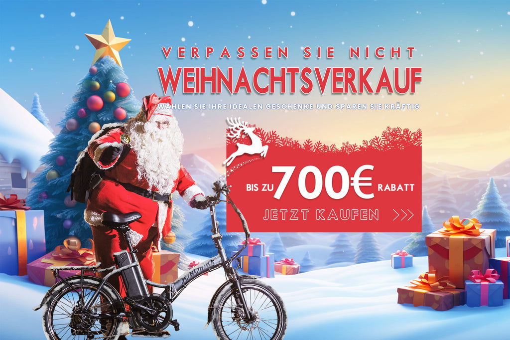 Perfect Christmas gifts: reduced prices for e-bikes!