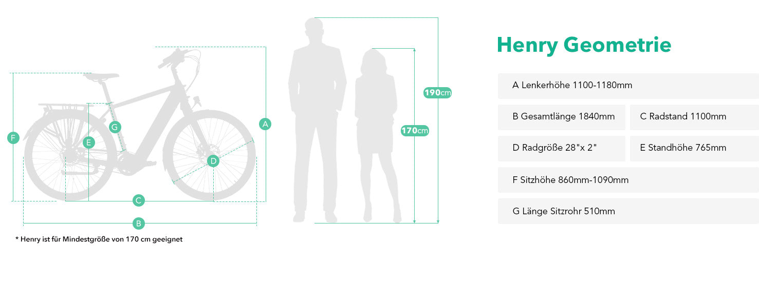 jobobike_men_ebike_henry-geometry