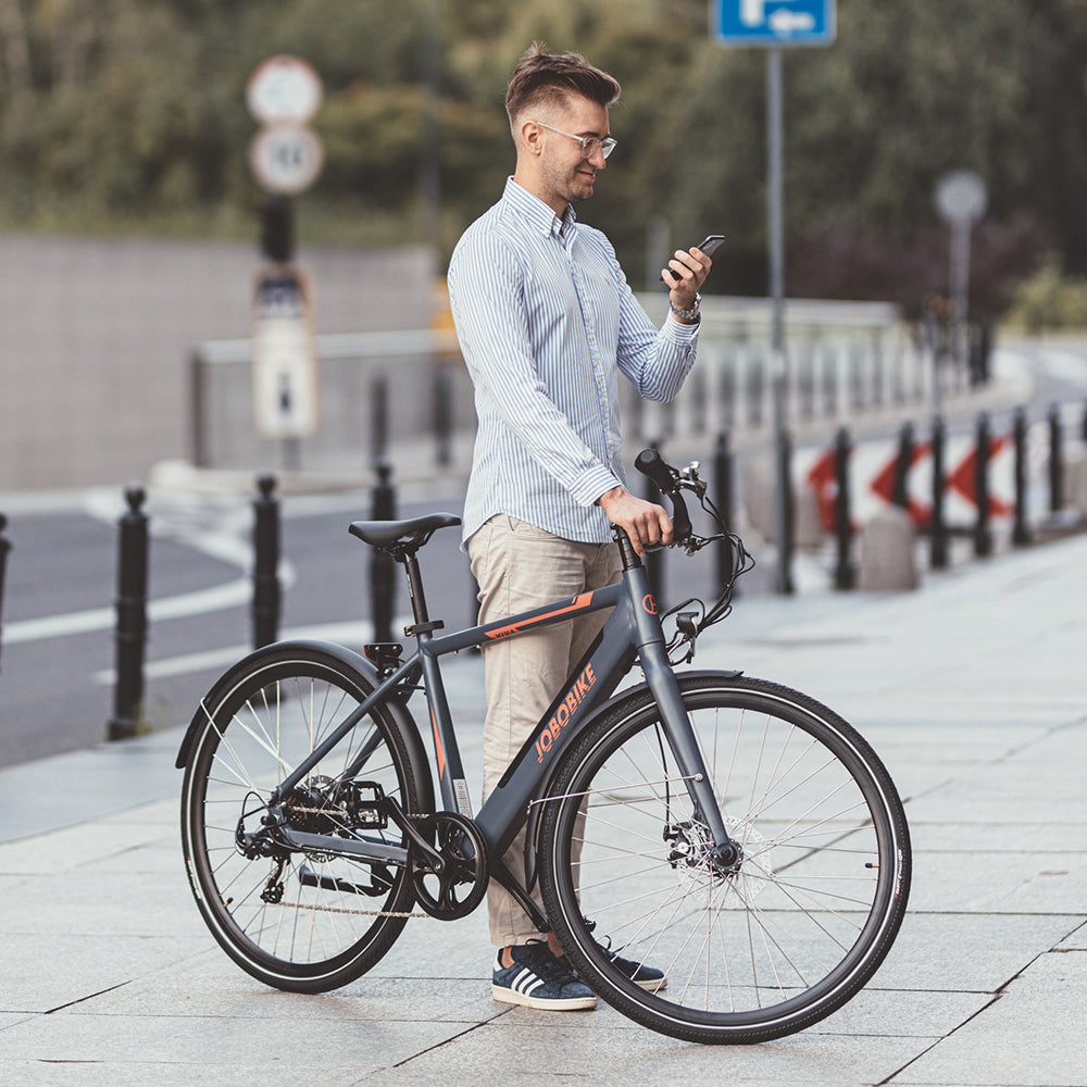 VIVA-LEICHTES_E_BIKE