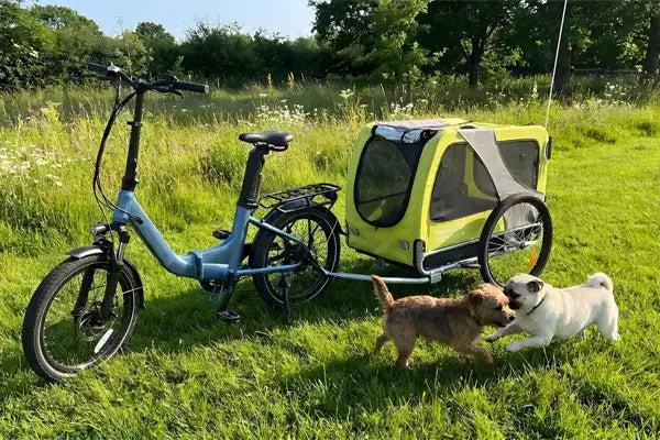 E-Bike mit Hund: Gemeinsam unterwegs mit dem Vierbeiner