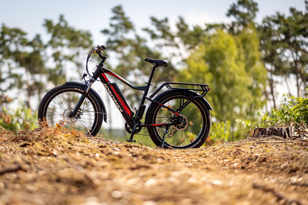 Öko-Reisen mit dem E-Bike genießen