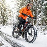 jobobike-fatbike-e-bike-Robin-Pro