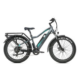 Robin Pro-fatbike e-bike