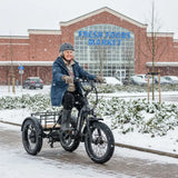 JOBOBIKE elektrisches Dreirad Triker