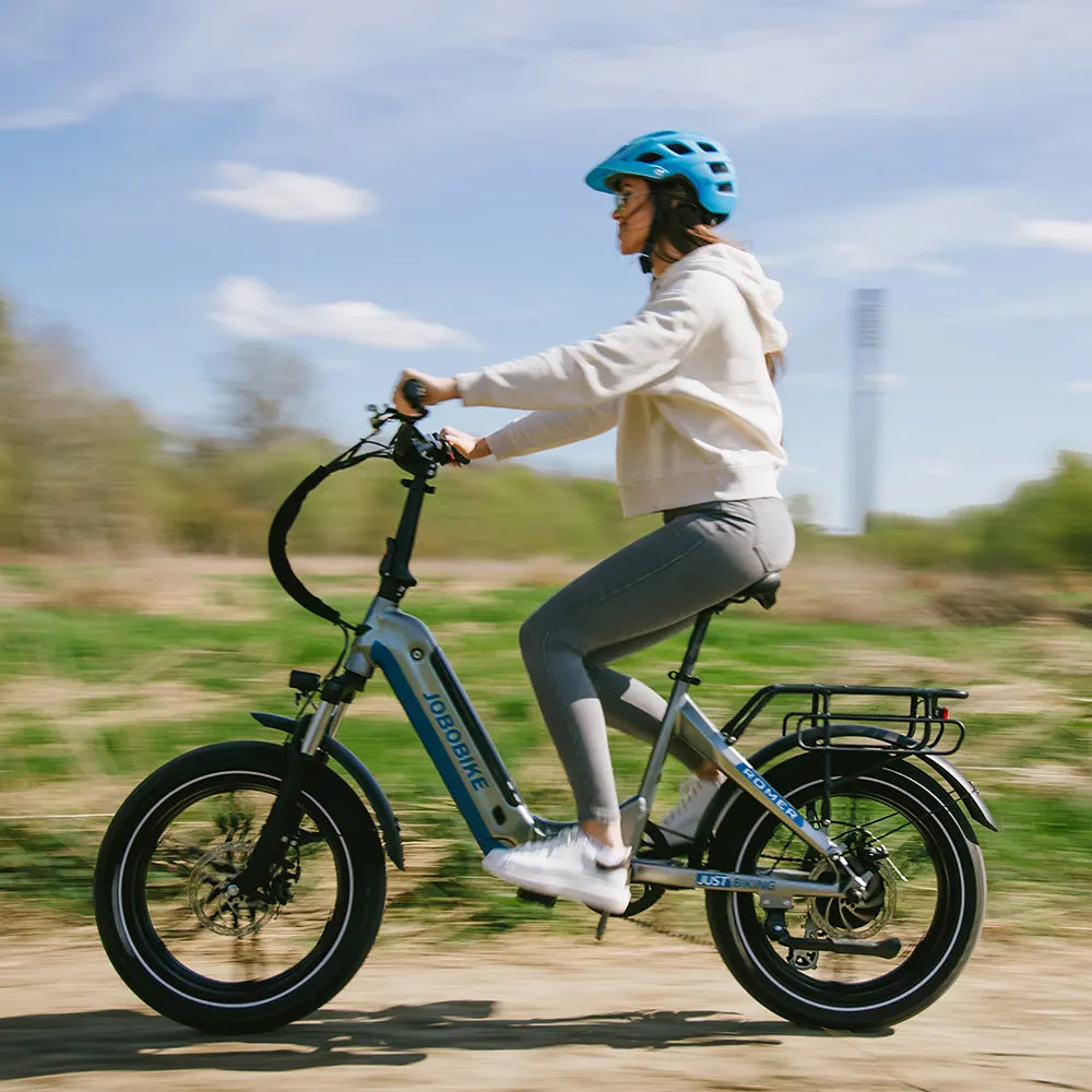elektrofahrrad mit breiten reifen JOBOBIKE Romer