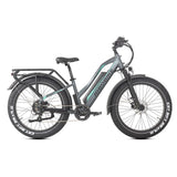 Robin ST Pro Tiefeinsteiger E-Bike
