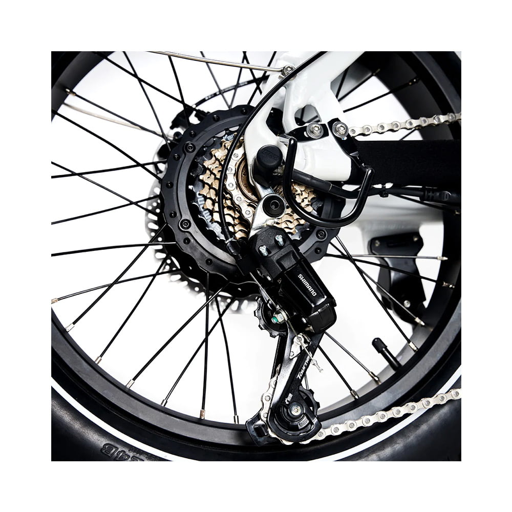 Jobobike EddyX Klapprad – E Fatbike｜ Bike | Bike E