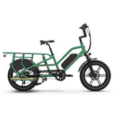 jobobike 15Ah Familien-Lasten-E-Bike Transer